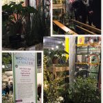 several pictures from the flower show exhibit