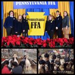 collage of 3 pictures from the farm show
