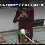 screenshot from newscast about rat training at Saul