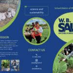 page 1 of recruitment brochure